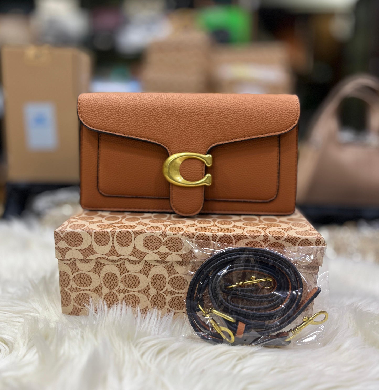 ZEVIRA'S C-O-A-C-H Tabby 05 (4 Colors)