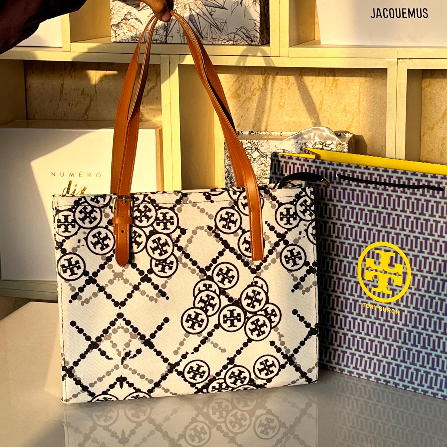 ZEVIRA'S T-B Premium Handbag (White)