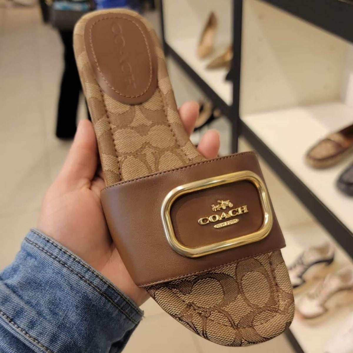 ZEVIRA'S C-O-A-C-H Flats (Brown)