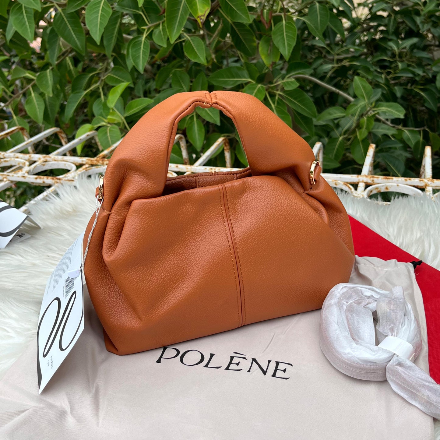 ZEVIRA'S Premium P-LENE 03 (4 Colors)