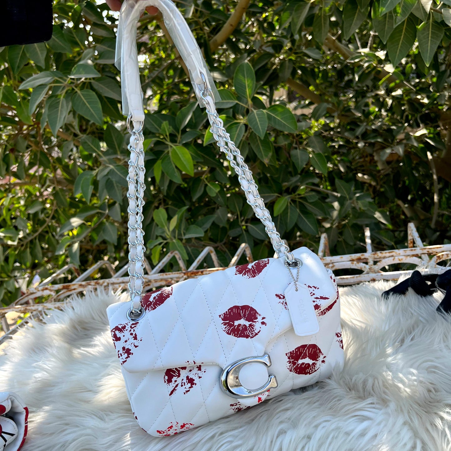 ZEVIRA'S C-O-A-C-H 05